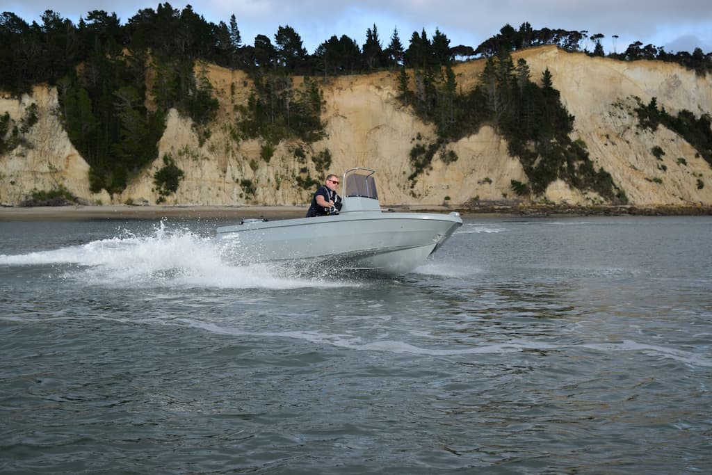 Smartwave SW 4200