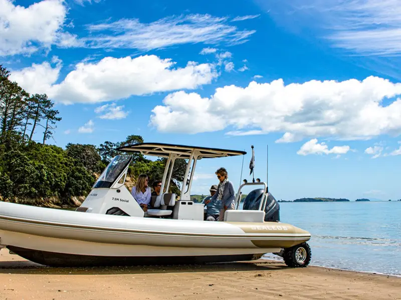 Sealegs 7.5M (24'7") Sport RIB