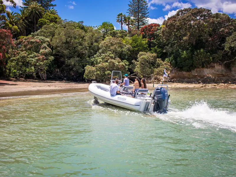 Sealegs 7.1M (23'4") Sport RIB