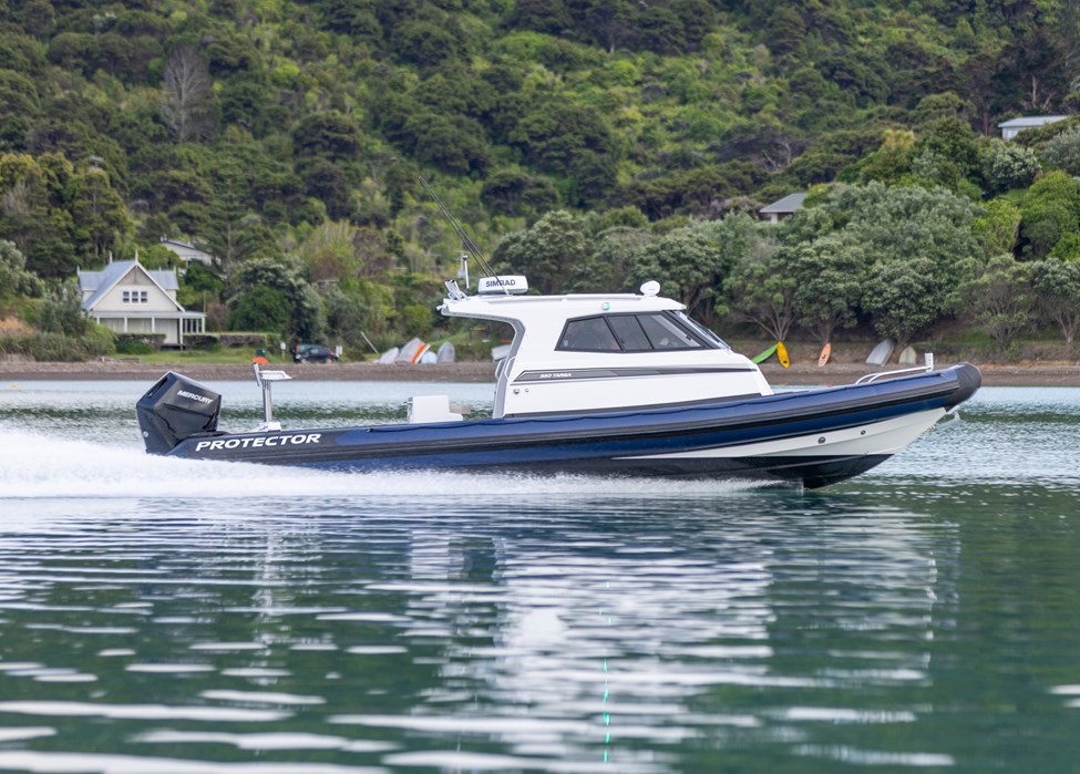 Rayglass Protector 330 Targa