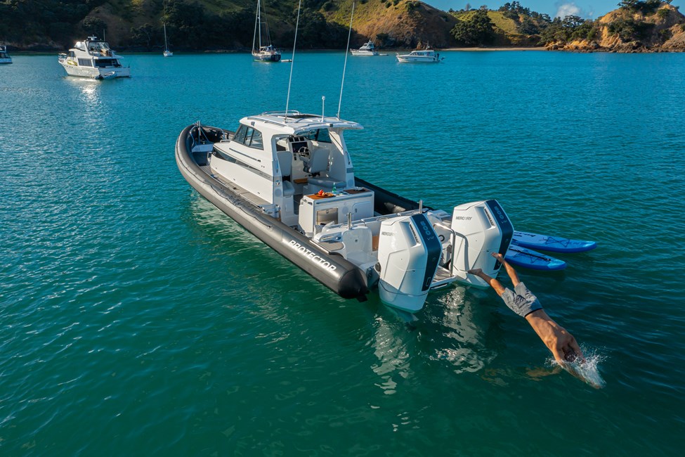 Rayglass Protector 410 Targa