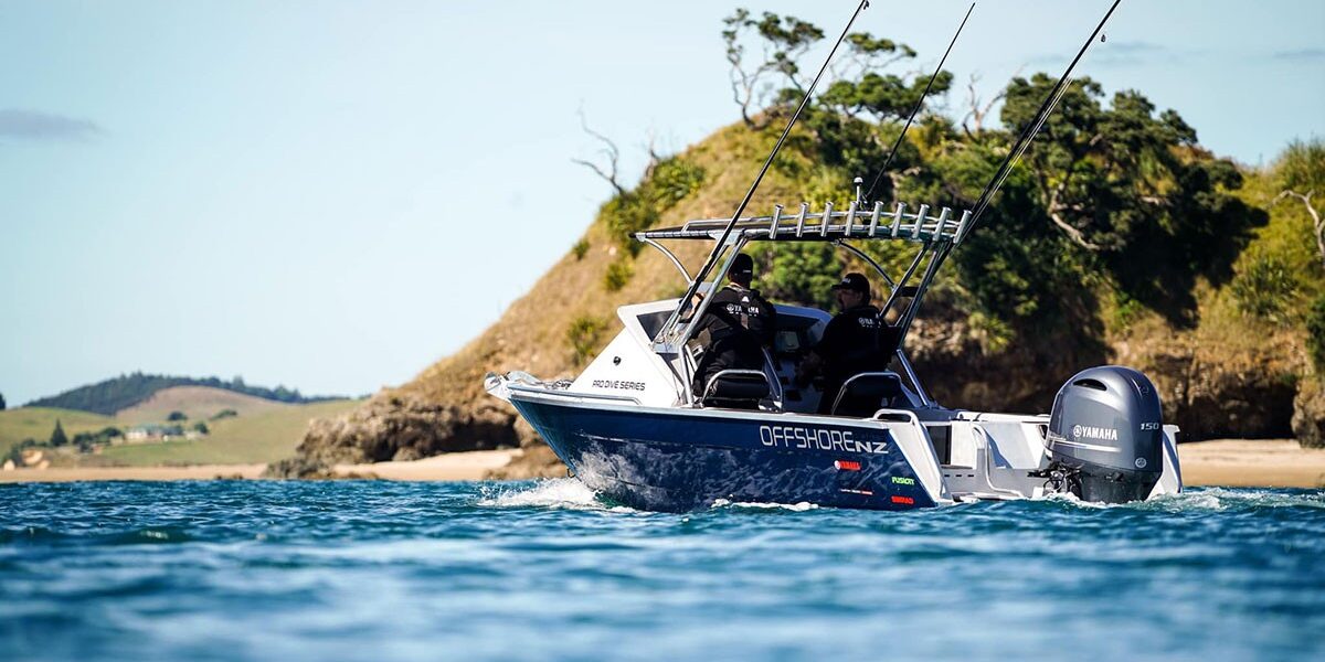 Offshore 650 Pro Dive