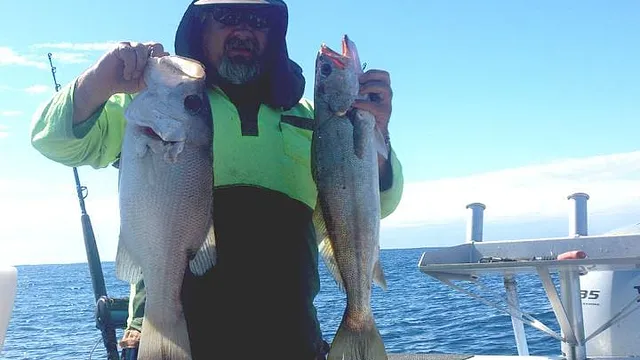 Surtees 700 Pro Fisher