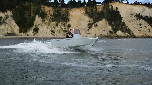 Smartwave SW 4200