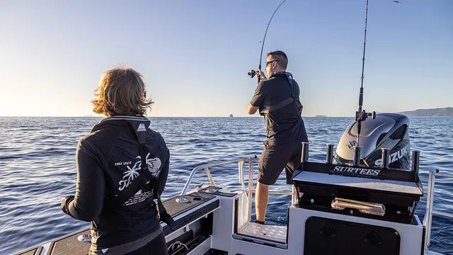 Surtees 800 Game Fisher