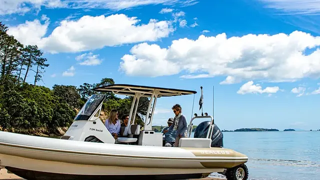 Sealegs 7.5M (24'7") Sport RIB