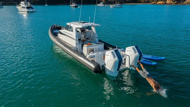 Rayglass Protector 410 Targa