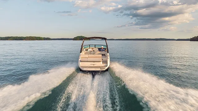 Sea Ray SDX 250