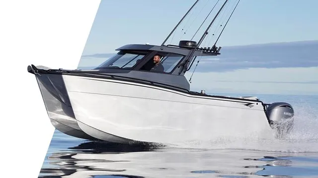 Offshore Foiling Cats